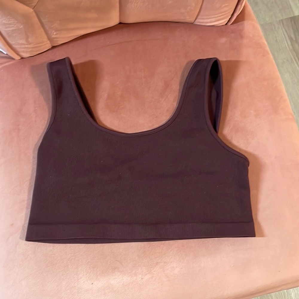 American Eagle Maroon Cropped Tank